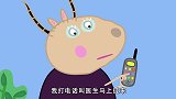 小猪佩奇：佩德罗想要救乌龟，却一直摇树，鼻子遭殃了！