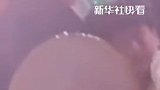 泪目了！捧花被男孩“截胡”后，没想到他却是奔向妈妈...