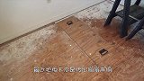 屋顶传出嗡嗡声响，男子伸手一掏，果然拉出个大家伙！