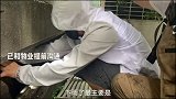 幼猫跌落深井孤独等死，抓住瞬间再现生命之光！ 流浪猫  猫