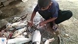 小男孩帮忙杀鱼，瞬间被这一手娴熟的去鱼鳞技术折服了，太厉害了