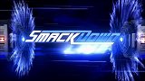 WWE-16年-RAW第1224期：幸存者大赛RAW小队齐登场 仇敌相聚大打出手-花絮