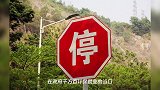 辞职摆摊,还需谨慎