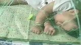 闺女你别怪我，咱家的条件也只能如此了，你就再忍一忍吧！
