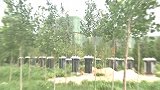 男子看房交定金后发现旁边有50亩墓地：销售之前说只有几个