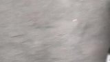 你又吓到易老幺了啊