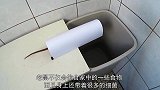从居民家里扑捉了5只超级大巨鼠，谁料它们居然是被遗弃的宠物