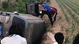 这都是什么一群卧龙凤雏