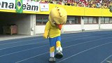 巴西这只鸟都能连续颠球30次 你比这只鸟厉害吗?
