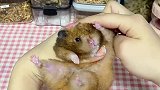 你们有找到它吗