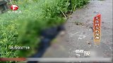 男子回国照顾生病的母亲，不料第二天就遭到毒手，被抛尸在菜地里