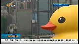 早安山东-20130503-巨型橡皮鸭亮相香港受欢迎