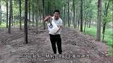 小虎到河沟下捕鱼神器，诱饵用的是火腿，大家说能捕到鱼吗？