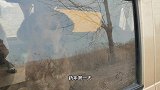 带着狗狗在浍河畔迎接新春，拉拉是只撒手没，全程拴着它还不乐意