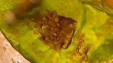 颜值与美味同在的鸡蛋灌饼，每一口都是幸福的感觉