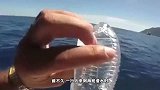 动物界中雌雄差距最大的动物，公的比母的小4万倍，这要怎么繁衍
