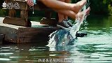 这种动物被称为“水鬼”，多年蒙受误会，如今因人类而陷入濒危