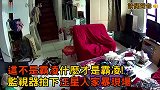 铲屎官不在家，汪星人竟然欺负同伴