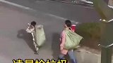 懂事的孩子，凌晨捡垃圾