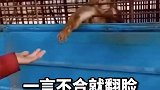 好大的脾气啊，一言不合就翻脸