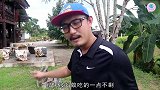把西瓜埋土里一个月会发生什么你以为会发芽么你太天真了
