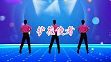 崔之韵广场舞《护花使者》零基础暴汗燃脂健身操背面演示