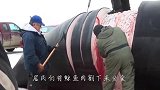 勇敢的传统捕鲸者，仅靠一把鱼叉就敢公然和鲸鱼作对，太震撼了