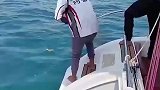 如果抓只章鱼养，孩子写字都不买墨水了
