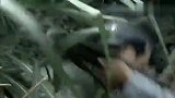 敌军胆大包天偷袭红军辎重部队，主任根据有利地形反攻