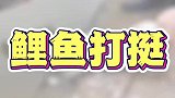 鱼：我又看到了希望
