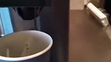 不亲眼看见，真是不敢相信，原来传闻都是真的！