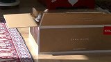 新买的小猫躲在箱子里不敢出来，真的是太可爱了