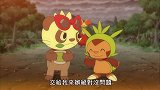 宝可梦：顽皮熊猫也进化了，和针栗鼠口吐人言，但是皮神没进化