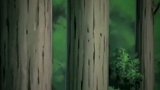 没有背景，却培养了两代火影，这才是真正的天才