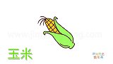 蔬菜简笔画大全，画漂亮的玉米简笔画