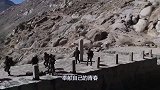 退伍军犬没用后，军人会如何处置它们？看完眼眶红了
