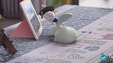 僵小鱼：生活不易，且行且珍惜
