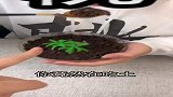 所以，你学会了吗？