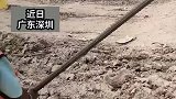 男孩不愿读书不听劝，爸爸带其来工地体验生活