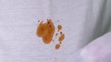 吃饭溅到的油渍用这种清洁湿巾