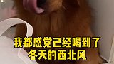 秋天还没过，冬天的西北风已经提前到了来了