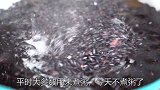 好吃又营养的黑米做法，早餐不二之选，软糯香甜，一层比一层好吃