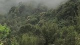 有人吗？天色已晚，道路难行，可否借宿一晚？