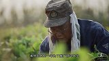 72岁日本老人到中国推广循环农业，语言不通身患重病，仍坚持