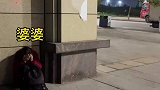 好不容易说服婆婆来城里一起住