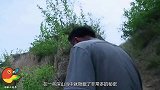 深山挖出诡异巨棺，棺内涌出神秘液体金光四射，轰动考古界