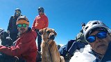 墨西哥一只流浪狗在5600米山顶生活近1月 被登山者救下山