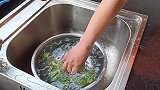 西兰花懒人做法，不放油不放调料，原汁原味又养生