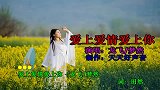 对唱情歌《爱上爱情爱上你》 龙飞梦然