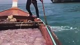 海里看到粉色塑料袋，可千万别碰